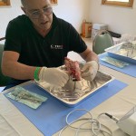 04-14-18-June-2022-Theoretical-Practical-Course-on-Patients--Implant-Surgery-Cinisi-Palermo-Orizzontale
